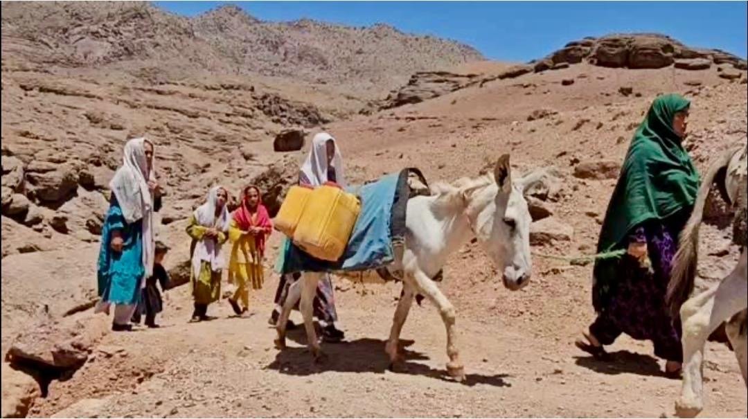 باشندگان غور:  درآمد ولایت ما در قندهار و ارزگان مصرف می&zwnj;شود