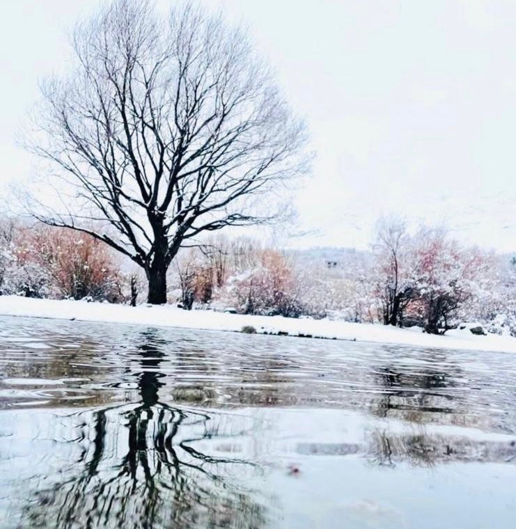 پسر روستایی