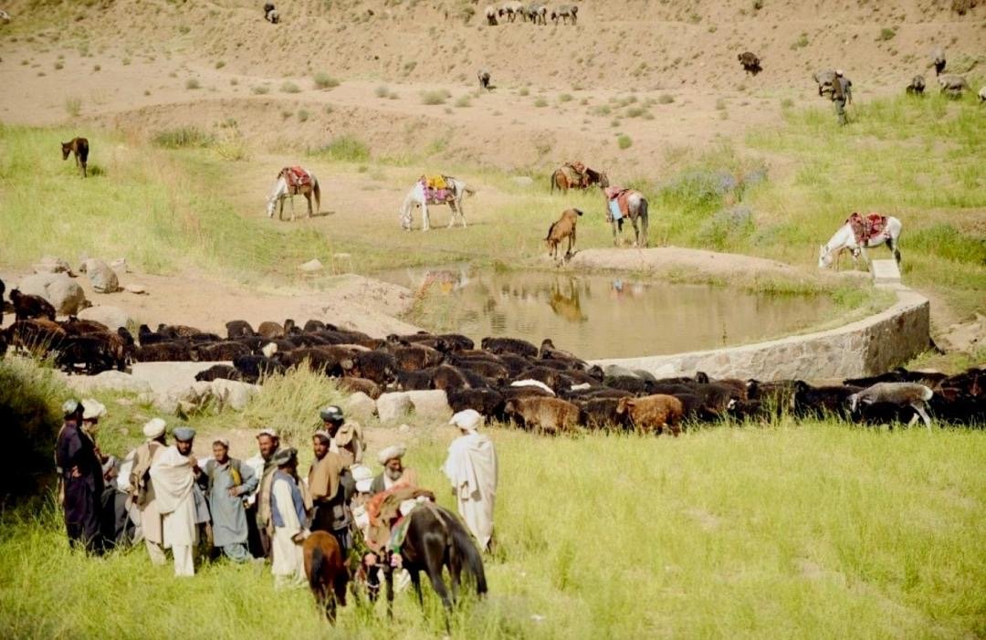 منابع: کوچی&zwnj;های مسلح سه دهقان را در بامیان زخمی کردند