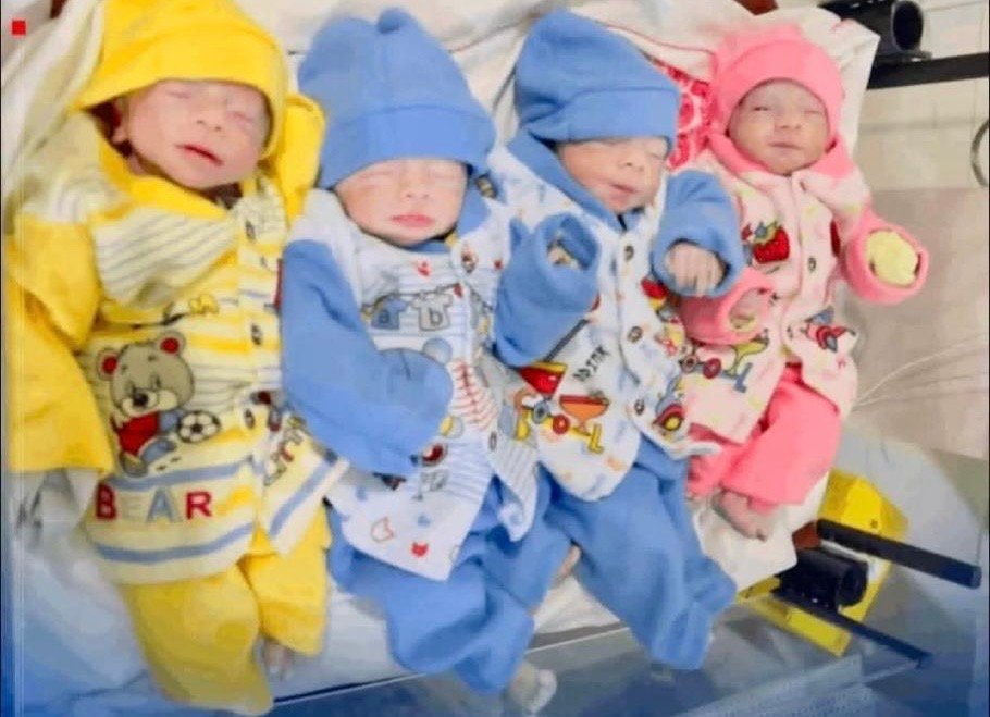 مادری در ننگرهار چهارگانگی به دنیا آورد