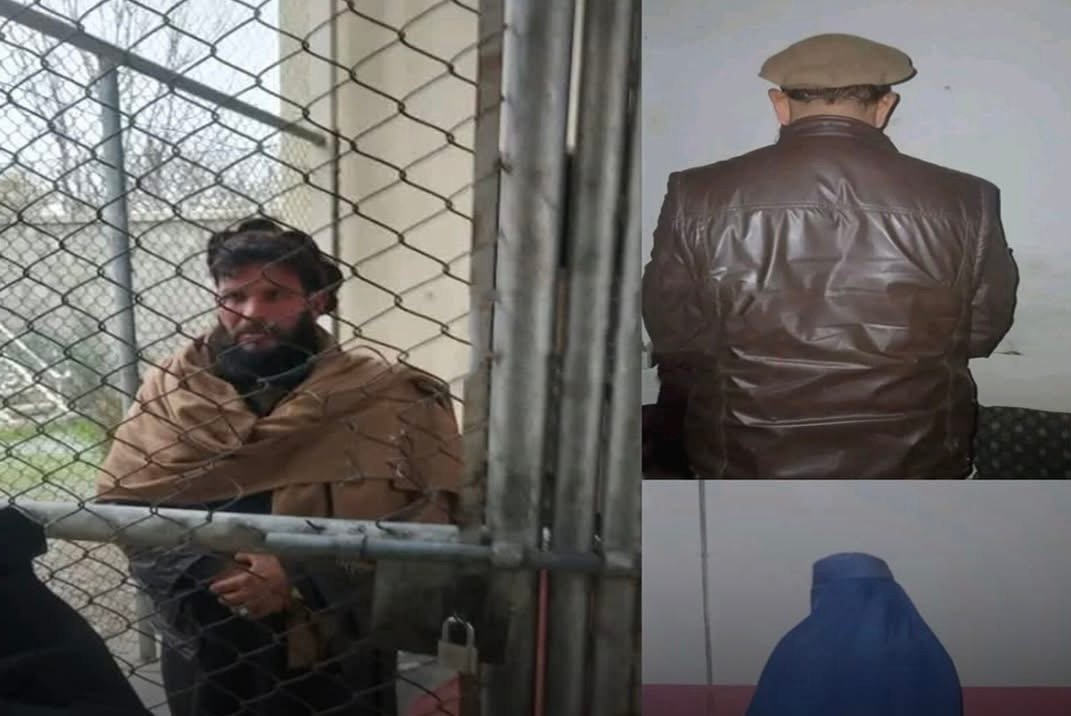 منابع: یک عضو طالبان به اتهام تجاوز بر یک زن در مهمان&zwnj;خانه لغمان بازداشت شد