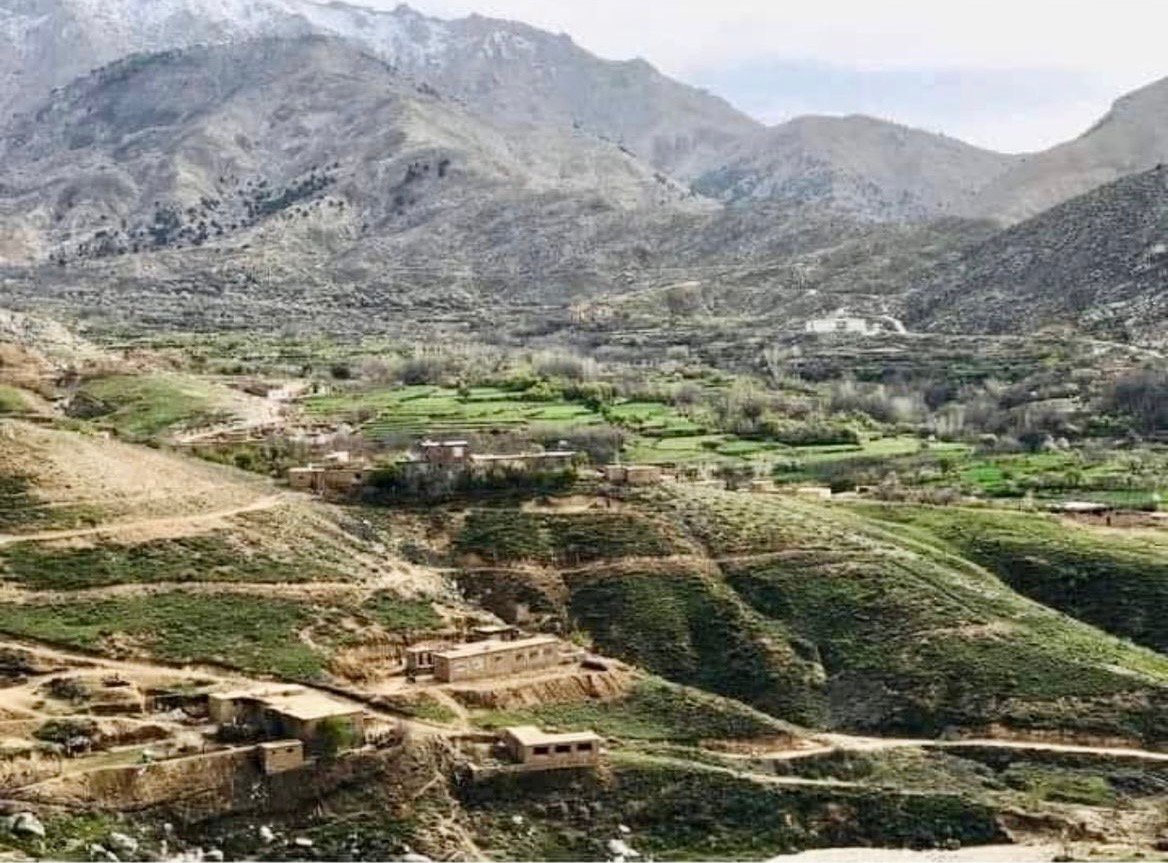 منابع در ولایت پنجشیر از بازداشت یک نظامی پیشین توسط طالبان خبر دادند