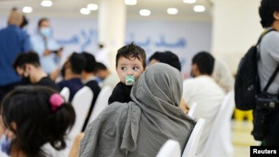 محاکم آلمان به ۱۱۷ پرونده رسیدگی کردند و اکثریت به نفع افغانستانی&zwnj;های دارای تضمین پذیرش رأی دادند