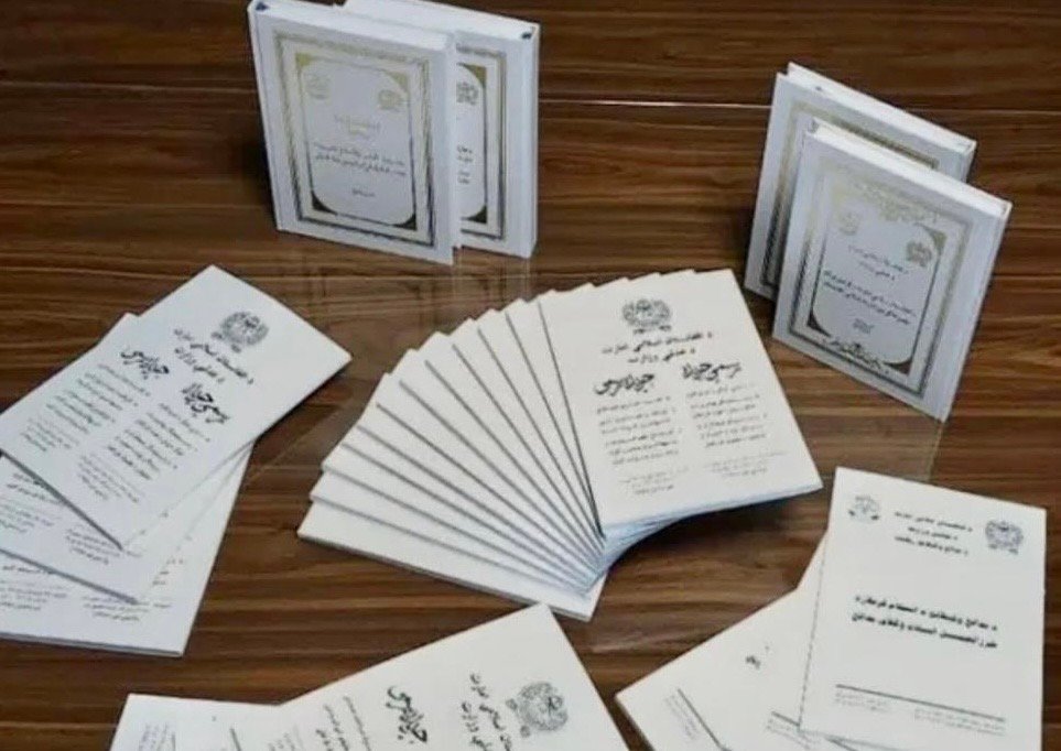 سازمان حقوق بشری اصول&zwnj;نامه جزایی طالبان را به سازمان ملل می&zwnj;&zwnj;برند