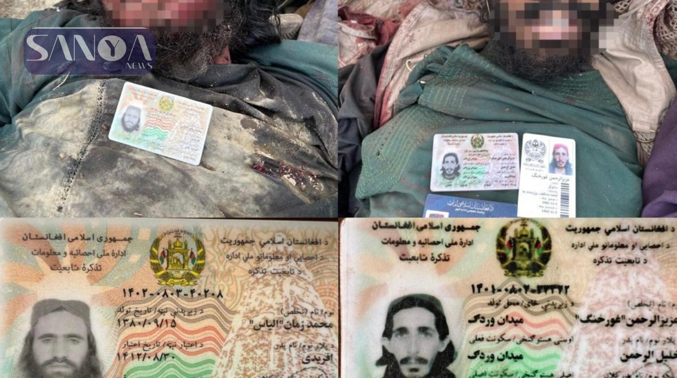 ط،البان کشته&zwnj;شده در پاکستان دارای کارت و شناسنامه افغانستانی هستند