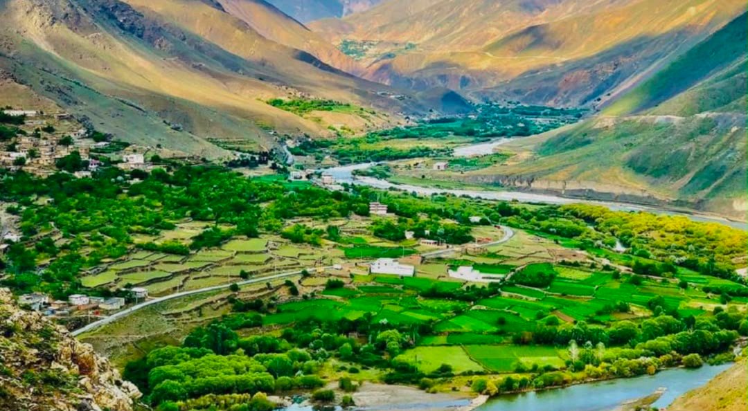 قوماندان لوای طالبان در پنجشیر: هیچ مسلمان واقعی در کاوجان پریان نیافتم