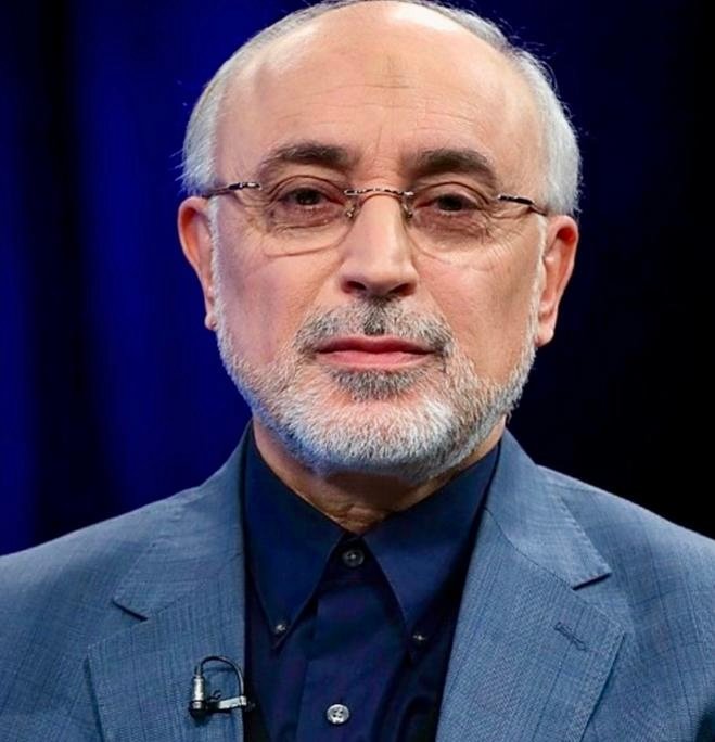 صالحی: از نظر منطقی، وقوع درگیری میان ایران و امریکا بعید است