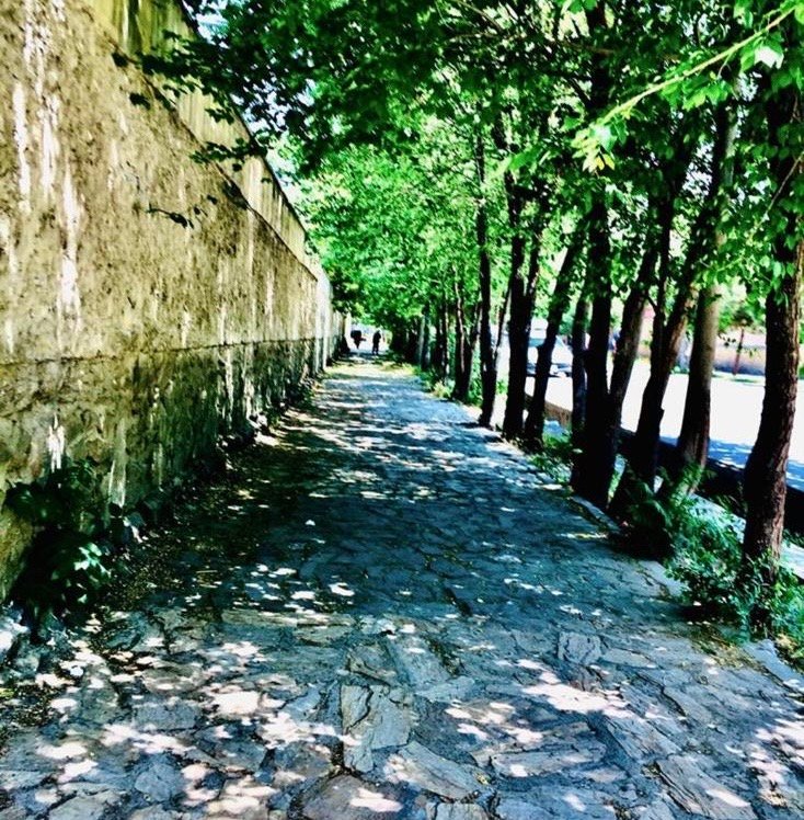 پسر روستایی