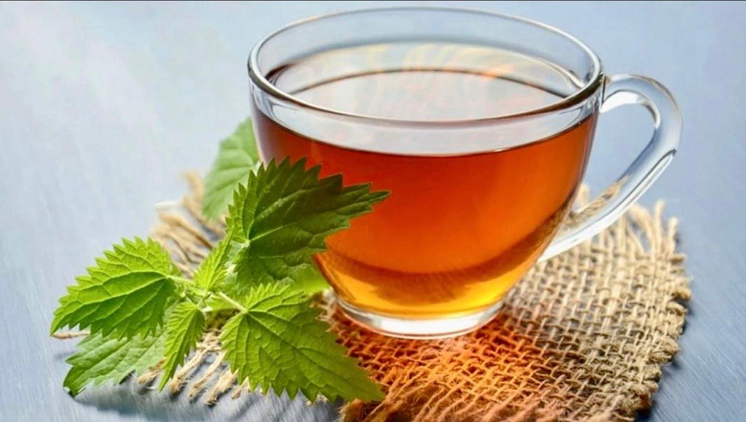 پژوهش تازه؛ نوشیدن چای به استحکام استخوان زنان کمک می&zwnj;کند