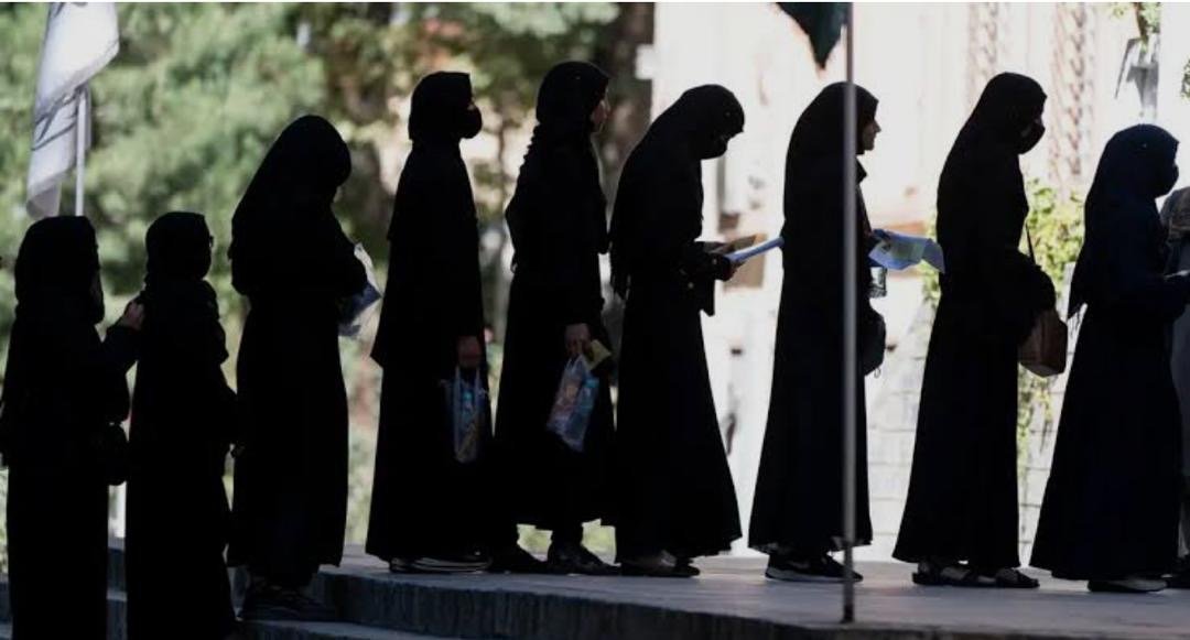 روز دانشجو؛ سیاست&zwnj; طالبان علیه دانشجویان مصداق نسل&zwnj;کشی فرهنگی است