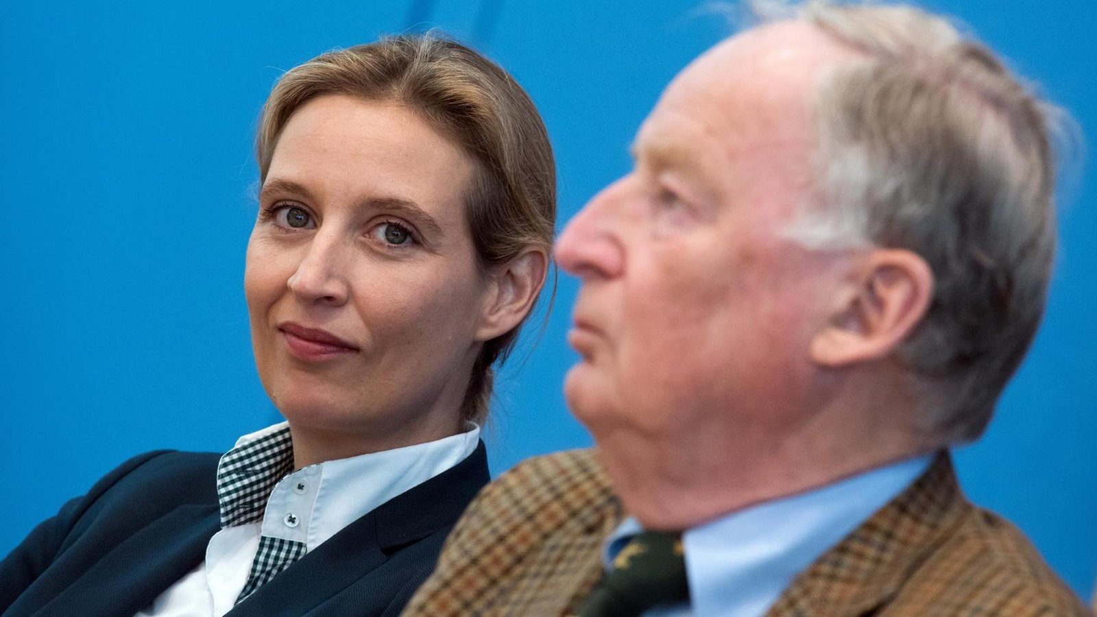 افزایش محبوبیت AfD و تقویت ارتباطش با دولت ترامپ