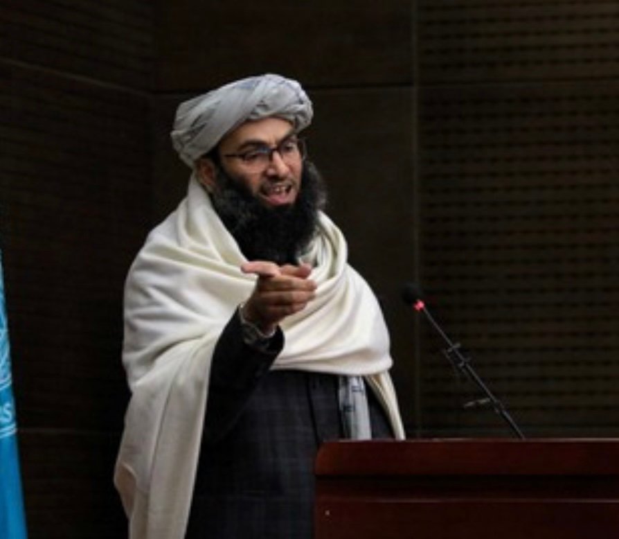 خالد حنفی: منتقدان طالبان در خارج، مزدور، اجیر و وطن&zwnj;فروش&zwnj;اند