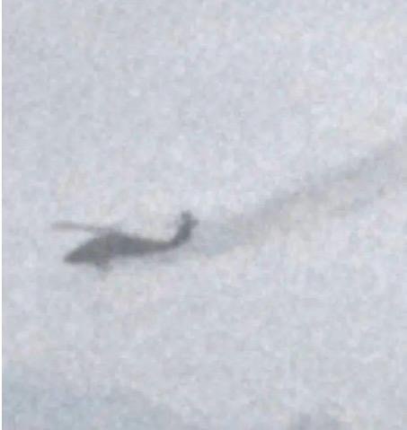 هلی&zwnj;کوپتر امریکایی در جست&zwnj;وجوی خلبان سرنگون&zwnj;شده در ایران آسیب دید